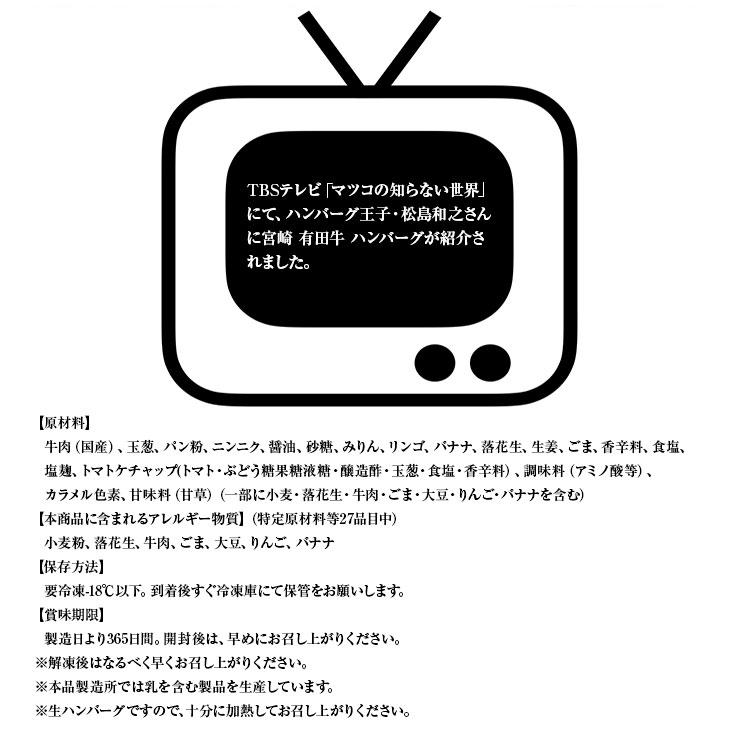 お歳暮 御歳暮 プレゼント 2025 肉 ギフト ハンバーグ てごね 100g×5 宮崎県産 黒毛和牛 EMO牛 有田牛  卵不使用 |  | 08