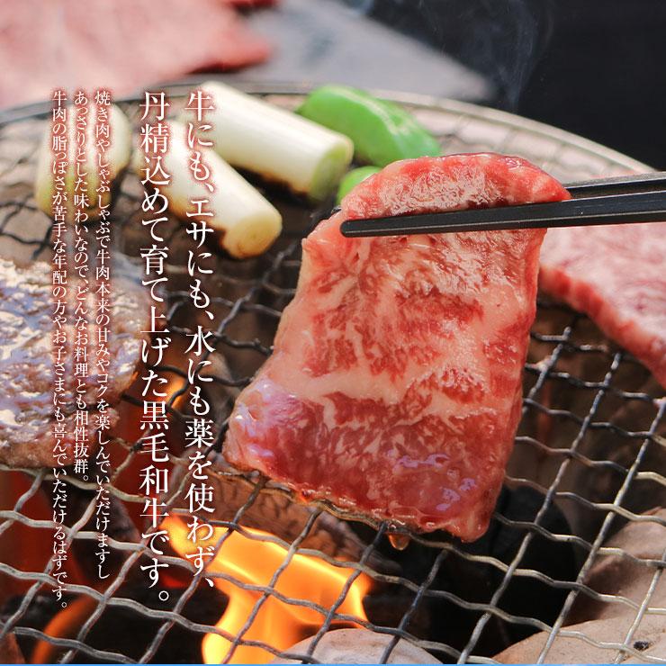 お歳暮 御歳暮 プレゼント ギフト 2025 肉 牛肉 贈り物 EMO牛 有田牛 宮崎県産黒毛和牛 焼肉用 ロース 1000ｇ 冷凍 |  | 01