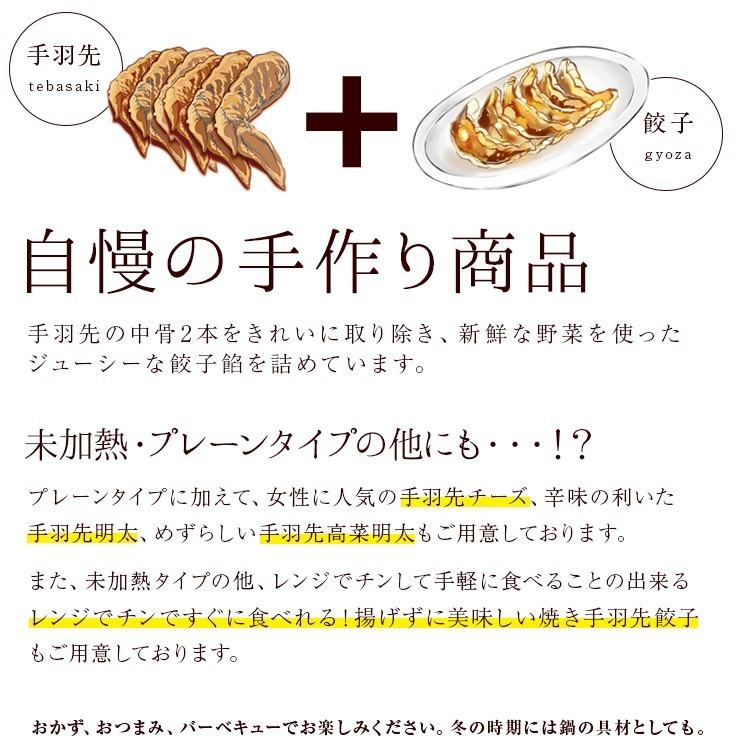 送料無料 手羽先餃子(手羽餃子/てばぎょうざ/手羽先ギョーザ) 100本 冷凍 業務用 チキン 鶏肉 お取り寄せ 手羽先餃子 手羽先チーズ 手羽先明太 手羽先高菜明太　 |  | 05