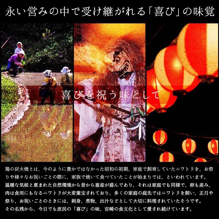 肉のおつまみ 鶏なんこつの炭火焼(かっぱなんこつ/やげんなんこつ/鶏軟骨/とり軟骨)100ｇ×5 簡易包装訳あり 冷凍 食品 グルメ 惣菜 チキン |  | 05