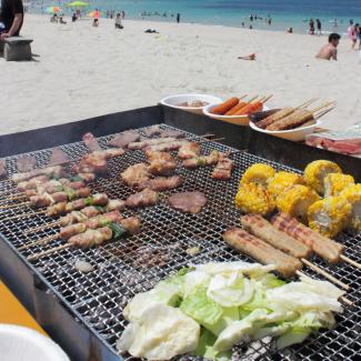 ギフト 高級 おつまみ お肉 食品 おつまみ 国産焼き鳥バイキング20本セット 焼肉 バーベキュー応援  冷凍 ギフトボックス入｜meat-21｜12