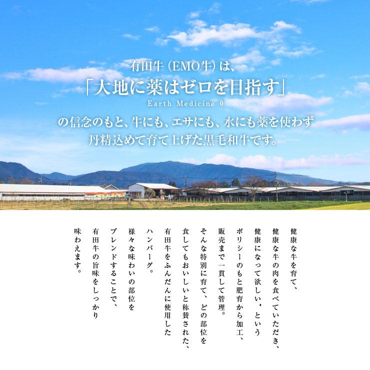 お歳暮 御歳暮 プレゼント ギフト 贈り物 EMO牛 有田牛 宮崎県産黒毛和牛  ハンバーグ 100ｇ×10 冷凍 ホルモン剤不使用 抗生物質不使用 遺伝子組換え飼料不使用 |  | 03
