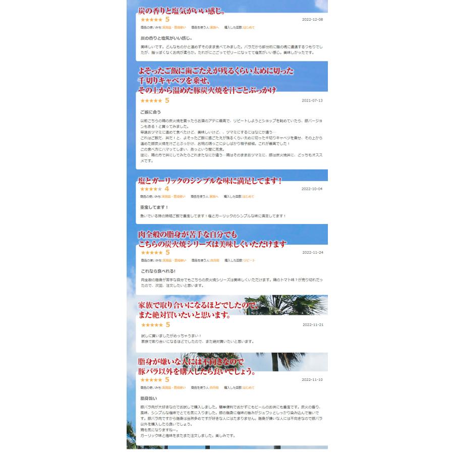 ポイント利用 お試し商品 サンプル 豚バラ炭火焼 100g×2 肉 豚肉 真空パック 非常食 備蓄食 保存食 保存食品 防災食 防災グッズ レトルト食品 |  | 07