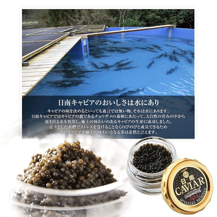 宮崎県産 国産 フレッシュキャビア 生キャビア 日南キャビア(きゃびあ) 5g×4 冷凍 魚卵 最高級 防腐剤不使用 非加熱 世界三大珍味 低塩分 |  | 03
