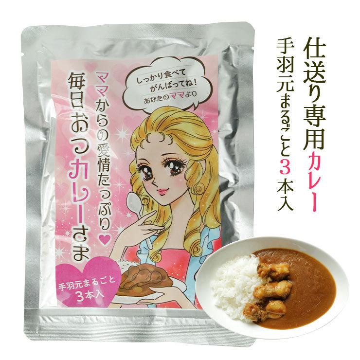 ポイント消化 送料無 食品 仕送りセット 仕送りごはん 食べ物 食品 手羽元まるごと3本入りカレー 350g 2パック 7122 ミート21ショップ 通販 Yahoo ショッピング