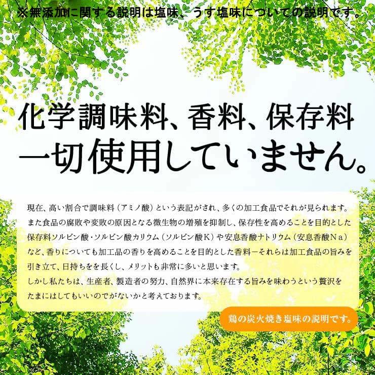 ポイント利用 ポイント消化 食品 100g×6 お試し商品 鶏の炭火焼 焼き鳥 鶏の炭火焼き 鳥の炭火焼き 肉 真空パック 非常食 備蓄食 保存食 保存食品 |  | 27