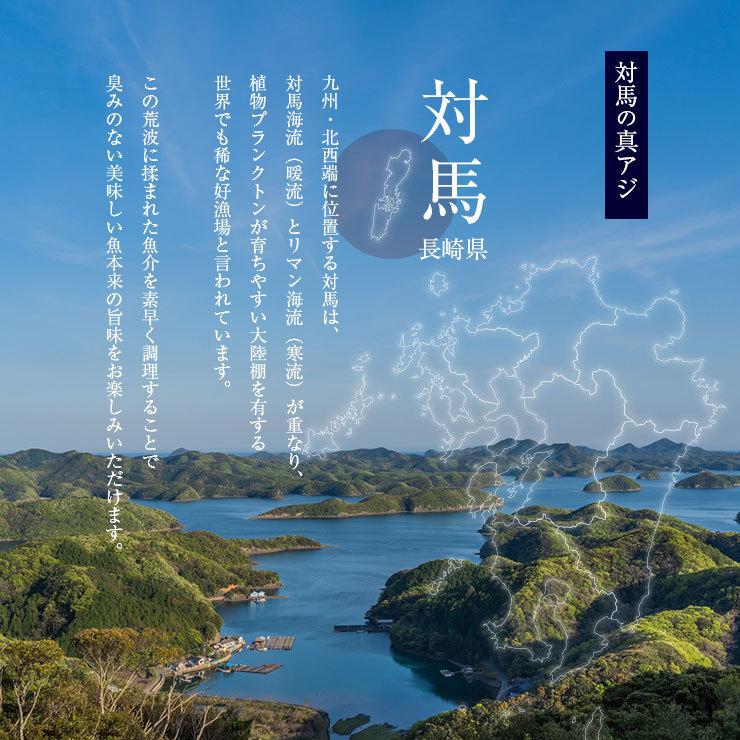 骨まで食べられる魚 干物 あじの干物 約50g×5枚 鯵 鰺 アジ ひもの 干物セット 塩焼き 焼き魚 おつまみ おかず 国産 長崎県産 対馬 |  | 03