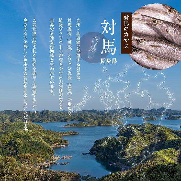 骨まで食べられる魚 干物 かますの干物 約50g×5枚 梭子魚 カマス ひもの 干物セット 塩焼き 焼き魚 おつまみ おかず 国産 長崎県産 対馬 |  | 02