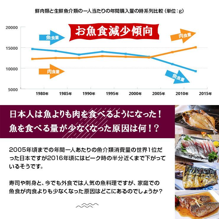骨まで食べられる魚 干物 あじの干物 約90g×5枚 鯵 鰺 アジ ひもの 干物セット 塩焼き 焼き魚 おつまみ おかず 国産 九州 |  | 02