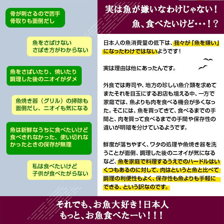 骨まで食べられる魚 干物 あじの干物 約90g×5枚 鯵 鰺 アジ ひもの 干物セット 塩焼き 焼き魚 おつまみ おかず 国産 九州 |  | 03