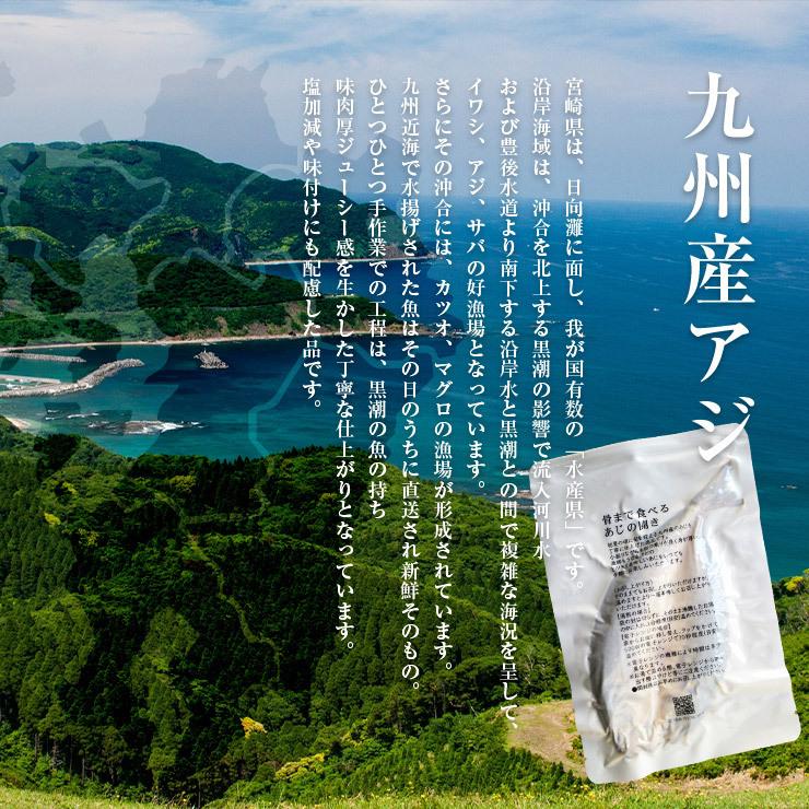 骨まで食べられる魚 干物 あじの干物 約90g×5枚 鯵 鰺 アジ ひもの 干物セット 塩焼き 焼き魚 おつまみ おかず 国産 九州 |  | 06