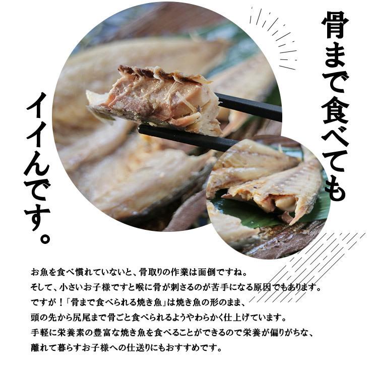 骨まで食べられる魚 干物 あじの干物 約90g×5枚 鯵 鰺 アジ ひもの 干物セット 塩焼き 焼き魚 おつまみ おかず 国産 九州 |  | 09