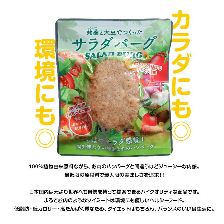 1000円ポッキリ ビーガン食品 ビーガン料理 プラントベース 100%植物由来 常温保存 大豆ミート 代替肉 人工肉 サラダバーグ 90g×3｜meat-21｜03