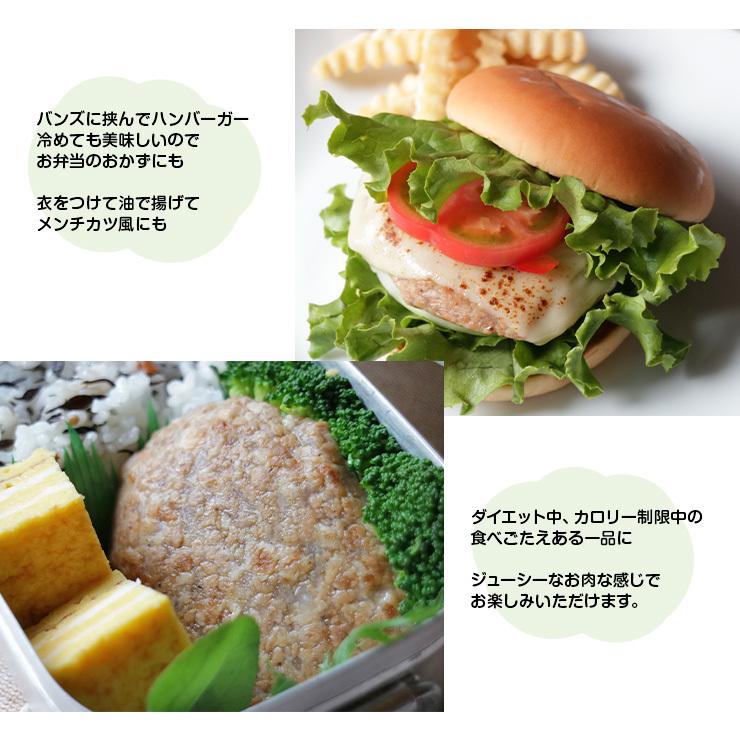 大豆ミート 1000円ポッキリ ビーガン食品 ビーガン料理 プラントベース 100%植物由来 常温保存 代替肉 人工肉 サラダバーグ 90g×3 ハンバーグ |  | 06