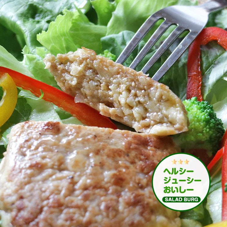 大豆ミート 1000円ポッキリ ビーガン食品 ビーガン料理 プラントベース 100%植物由来 常温保存 代替肉 人工肉 サラダバーグ 90g×3 ハンバーグ |  | 07