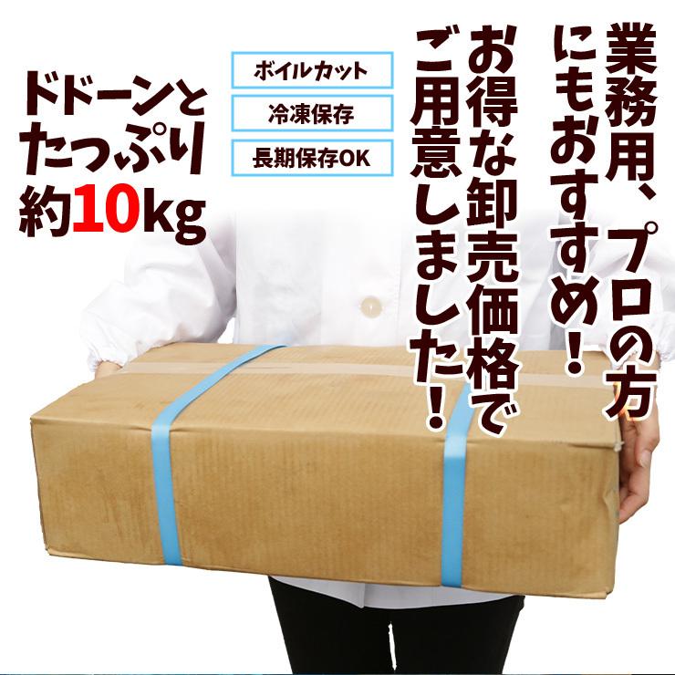 国産 豚 小腸(ショウチョウ/白モツ/白もつ/ホルモン/ほるもん/豚もつ) カット済み ボイル下茹で済み 約10kg 業務用 生 冷凍 済 送料無料 |  | 01