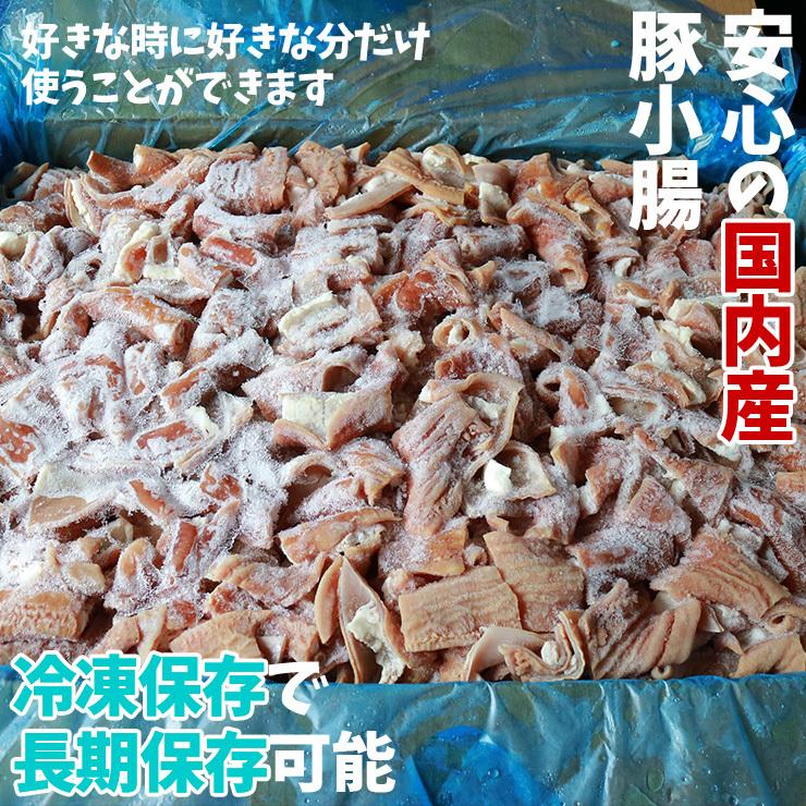 国産 豚 小腸(ショウチョウ/白モツ/白もつ/ホルモン/ほるもん/豚もつ) カット済み ボイル下茹で済み 約10kg 業務用 生 冷凍 済 送料無料 |  | 02