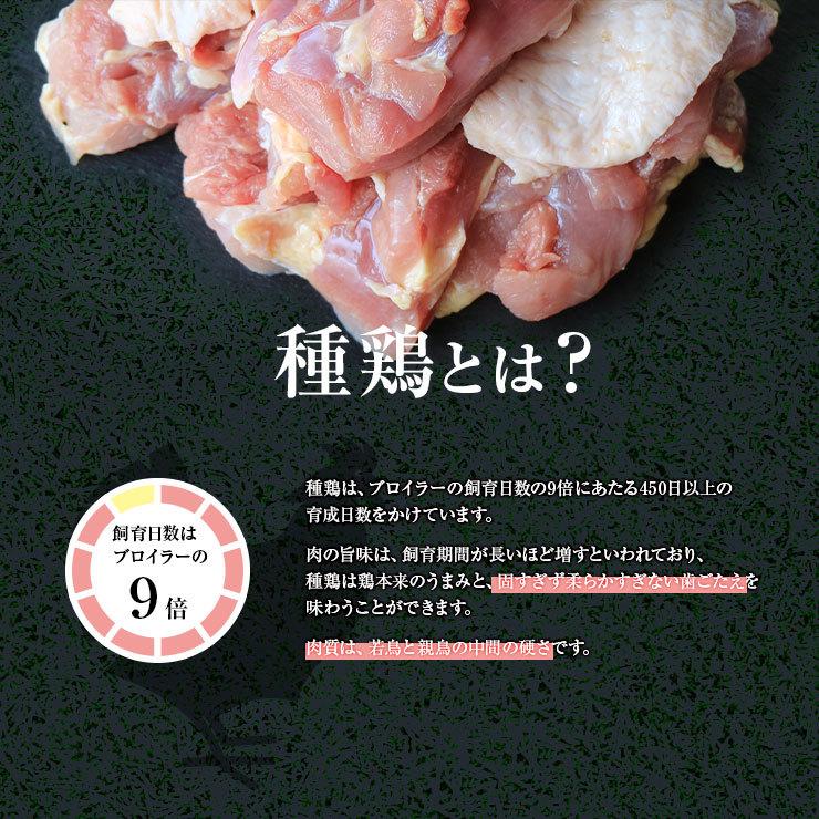 親鶏 鶏肉 種鶏 かたい 硬い もも肉 モモ肉 2kg 国産 国産鶏 業務用 業務用 冷凍 真空パック ヒネ鶏 ひね鳥 おやどり おや鳥 おや鶏 親どり 親鳥 成鶏 かしわ |  | 01