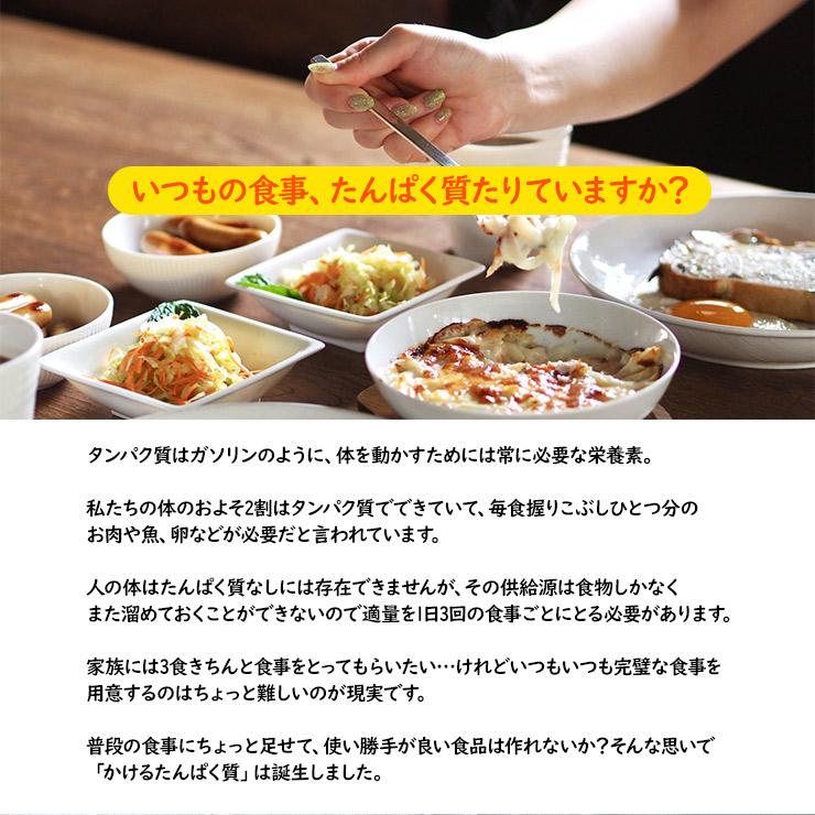 食品 粉末 ささみ 国産 無添加 かけるたんぱく質 100g×1袋 とりささみ100% ふりかけ おやつ 粉末 パウダー |  | 02