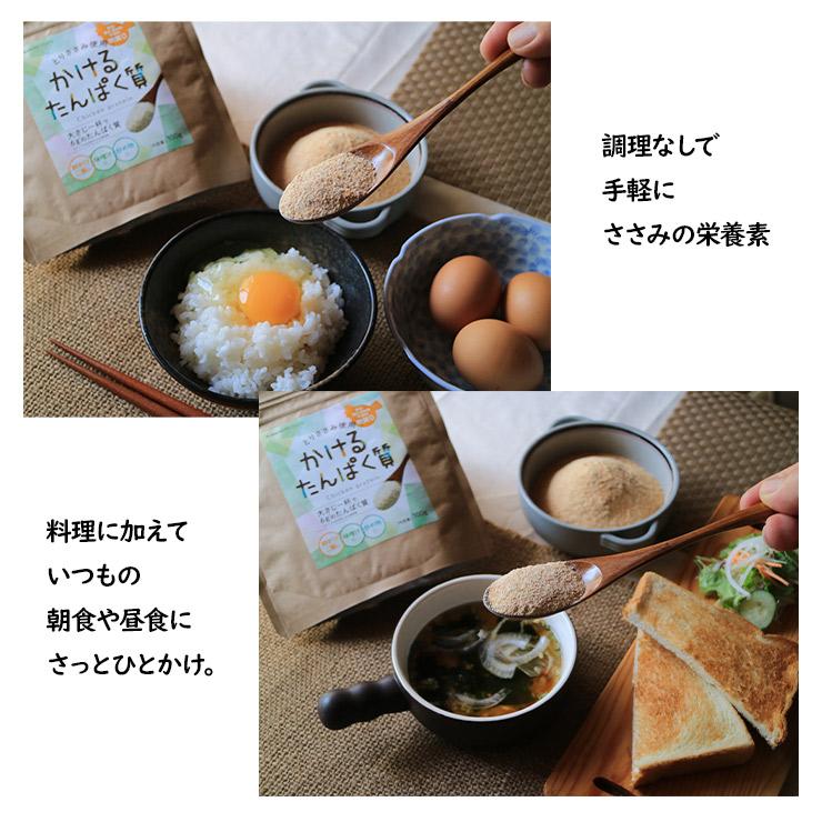 食品 粉末 ささみ 国産 無添加 かけるたんぱく質 100g×1袋 とりささみ100% ふりかけ おやつ 粉末 パウダー |  | 05