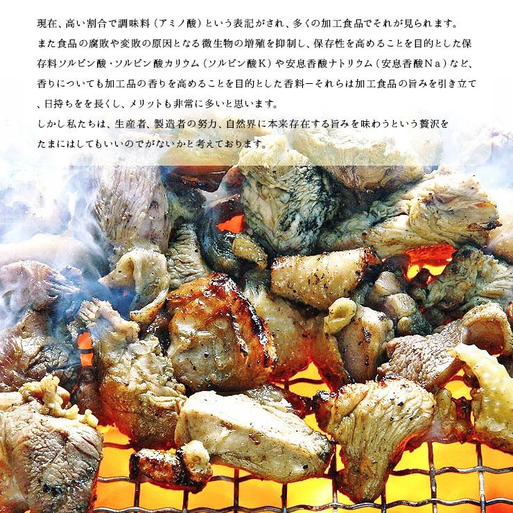 お歳暮 御歳暮 プレゼント ギフト 贈り物  食べ物 鶏の炭火焼 100g×10 おつまみセット ギフト常温保存非常食・保存食 防災グッズ 送料無料 |  | 07