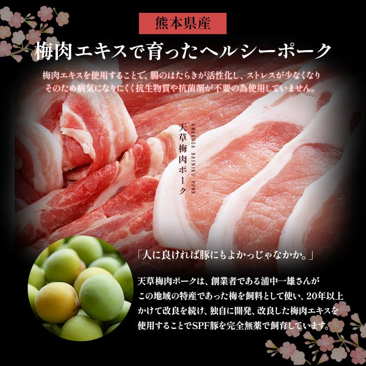お歳暮 御歳暮 プレゼント ギフト 贈り物 天草梅肉ポーク 豚肉 ロースとんかつ用 4枚  合計800g  九州産 熊本産 ホルモン・抗生物質不使用 抗菌剤無添加 高級 | 天草梅肉ポーク | 03