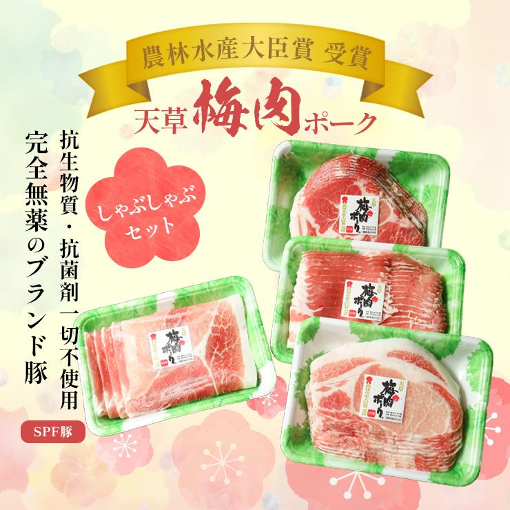 お歳暮 御歳暮 ギフト 贈り物 天草梅肉ポーク 豚しゃぶしゃぶセット ロース250g 肩ロース250g バラ250g モモ250g 熊本産 ホルモン・抗生物質不使用 抗菌剤無添加 | 天草梅肉ポーク | 01
