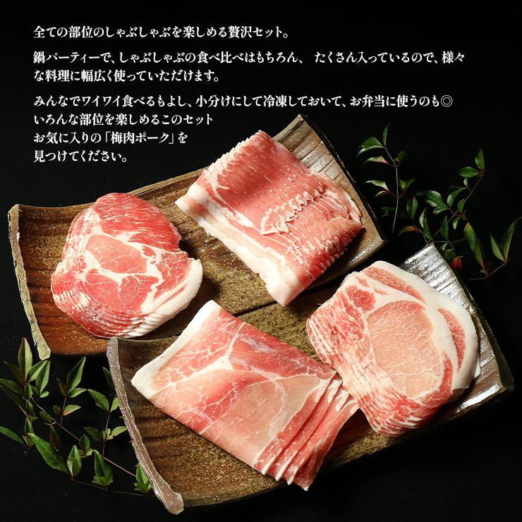 お歳暮 御歳暮 ギフト 贈り物 天草梅肉ポーク 豚しゃぶしゃぶセット ロース250g 肩ロース250g バラ250g モモ250g 熊本産 ホルモン・抗生物質不使用 抗菌剤無添加 | 天草梅肉ポーク | 06