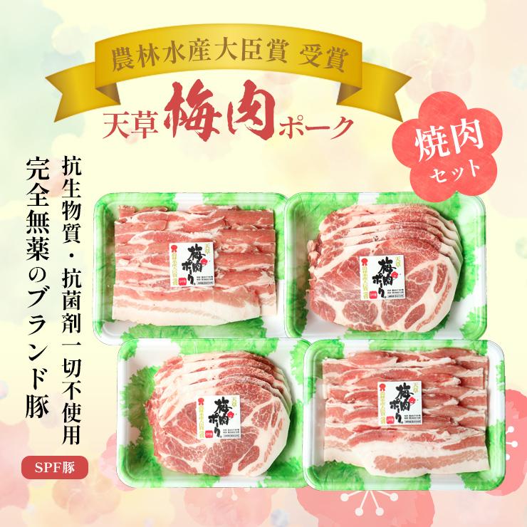 お歳暮 御歳暮 ギフト 贈り物 天草梅肉ポーク 豚肉 焼肉セット バラ焼肉用 500g 肩ロース焼肉用 500g 熊本産 ホルモン・抗生物質不使用 抗菌剤無添加 | 天草梅肉ポーク | 01