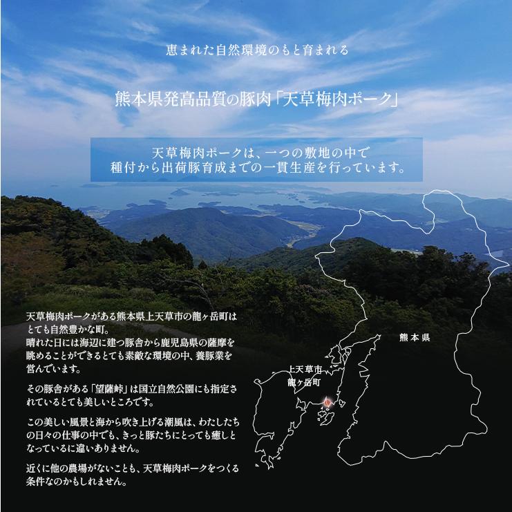 お歳暮 御歳暮 ギフト 贈り物 天草梅肉ポーク 豚肉 焼肉セット バラ焼肉用 500g 肩ロース焼肉用 500g 熊本産 ホルモン・抗生物質不使用 抗菌剤無添加 | 天草梅肉ポーク | 04
