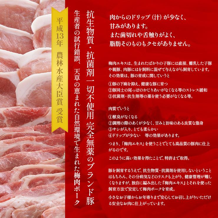 お歳暮 御歳暮 ギフト 贈り物 天草梅肉ポーク 豚肉 焼肉セット バラ焼肉用 500g 肩ロース焼肉用 500g 熊本産 ホルモン・抗生物質不使用 抗菌剤無添加 | 天草梅肉ポーク | 05