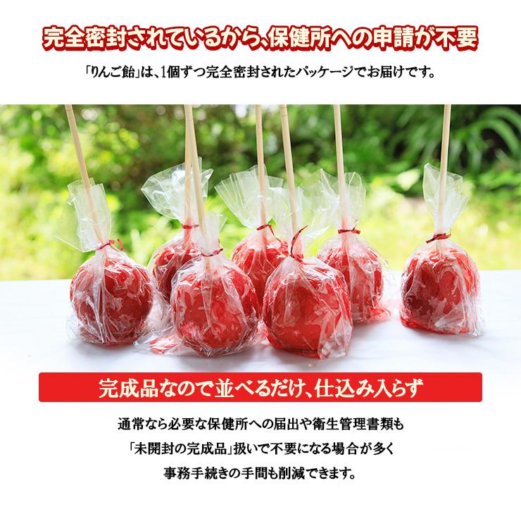 完成品 個包装 アイス りんご飴 120個 フルーツ飴 棒 りんごあめ