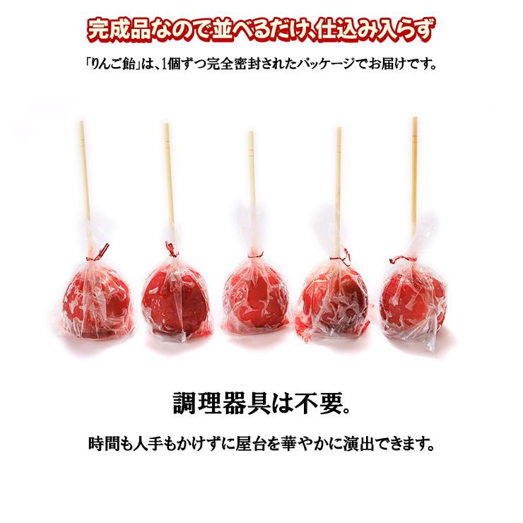 完成品 個包装 アイス りんご飴 120個 フルーツ飴 棒 りんごあめ