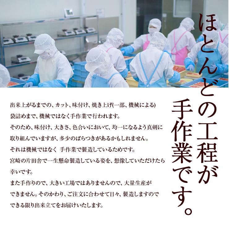 セール 半額 豚肉 糖質0g(糖質ゼロ)のサラダポーク 100g×100 無添加 常温 まとめ買い 非常食 薄味 味なし 食塩無添加 食塩不使用 保存食 レトルトおかず |  | 09