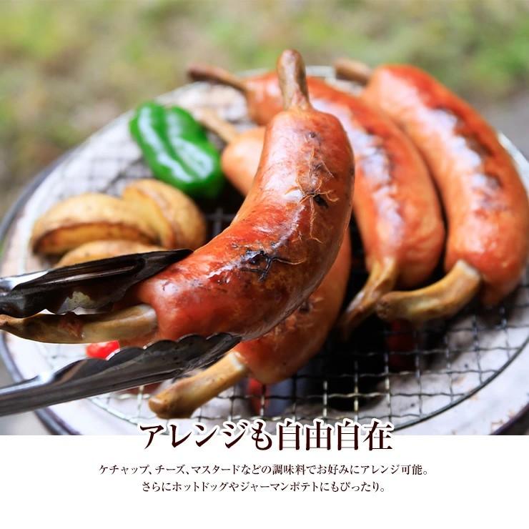 骨付きフランクフルト 骨付きソーセージ 100g×100本(専用袋100枚付き