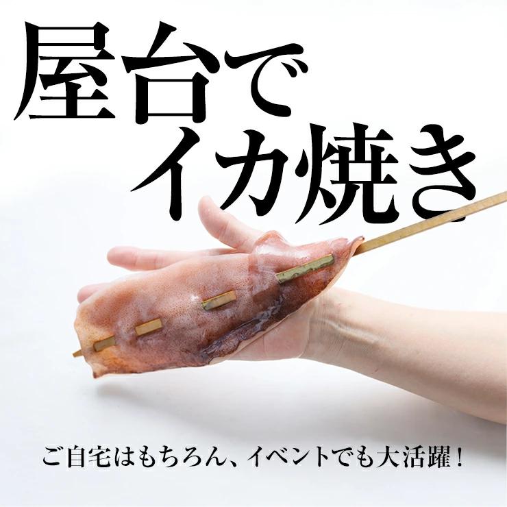 イカ焼き イカ串×60本 イカの姿焼き 焼きイカ 業務用 文化祭 学園祭 学祭 高校 大学 保育園 小学校 夏祭り 秋祭り 模擬店 バザー 屋台 イベント |  | 03