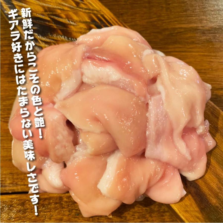 超特価 黒毛和牛ギアラ 約500ｇ 約3 4人前 焼肉や煮込み料理に 肉厚 新鮮 ｂｂｑ バーベキュー パーティー 内臓 ホルモン 赤センマイ 牛ホルモン Materialworldblog Com