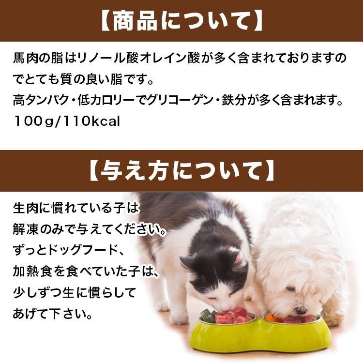 犬 馬肉 生肉 送料無料【赤身3kg】《業務用簡易パック》カナダ産馬肉切り落とし【カタマリ】3kg（1kg×3袋）《同梱7kg迄可》注！バラ凍結ではございません｜meat-gen｜03