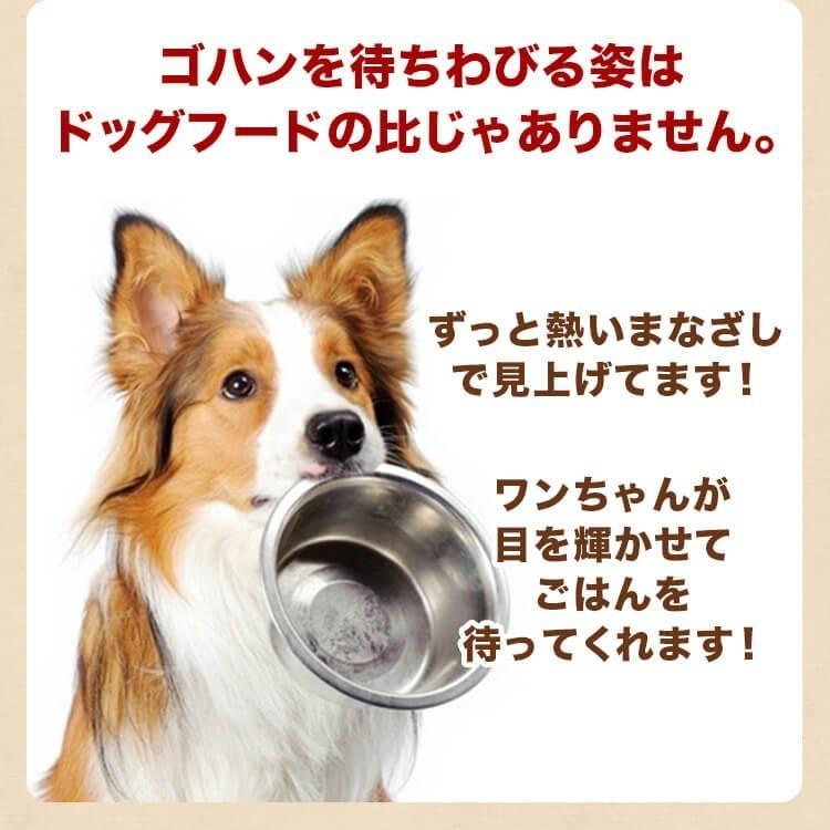 犬 馬肉 生肉 送料無料【赤身3kg】《業務用簡易パック》カナダ産馬肉切り落とし【カタマリ】3kg（1kg×3袋）《同梱7kg迄可》注！バラ凍結ではございません｜meat-gen｜06