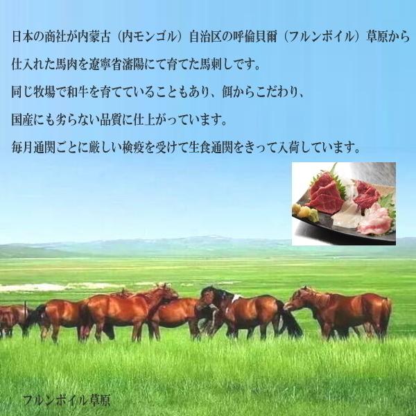送料無料【500g】50g×10P 馬刺し 赤身 食べきり小サイズ 阜新モンゴル族自治県産/馬刺|meat-gen|06