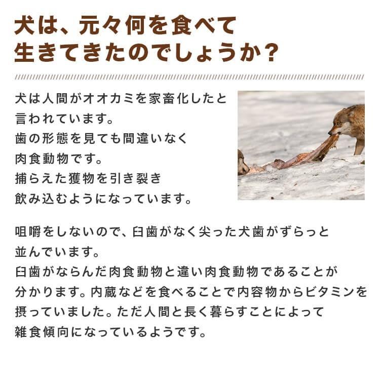 犬 猫 馬肉 生肉 同梱包不可 アルゼンチン産/カナダ産 馬肉スライス/カット　10kg（1Kg×10袋）送料無料　_11