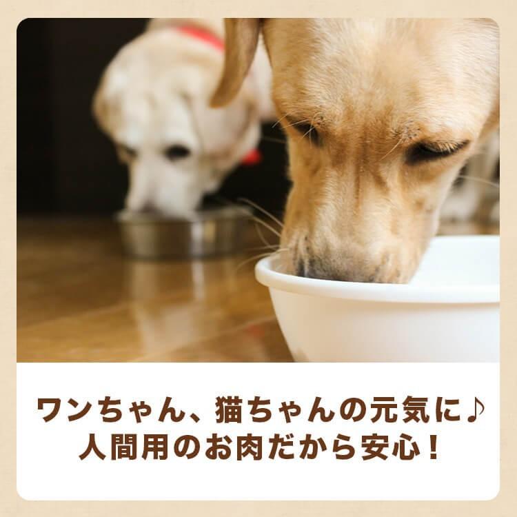 犬 猫 馬肉 生肉 同梱包不可 アルゼンチン産/カナダ産 馬肉スライス/カット　10kg（1Kg×10袋）送料無料　_13