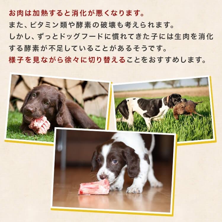 犬 猫 馬肉 生肉 同梱包不可 アルゼンチン産/カナダ産 馬肉スライス/カット　10kg（1Kg×10袋）送料無料　_15