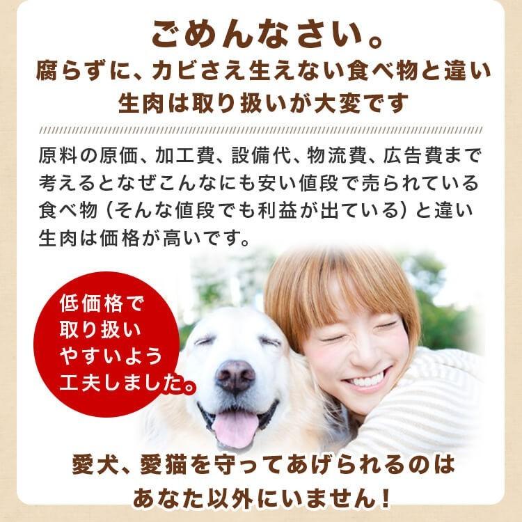 犬 猫 馬肉 生肉 同梱包不可 アルゼンチン産/カナダ産 馬肉スライス/カット　10kg（1Kg×10袋）送料無料　_6