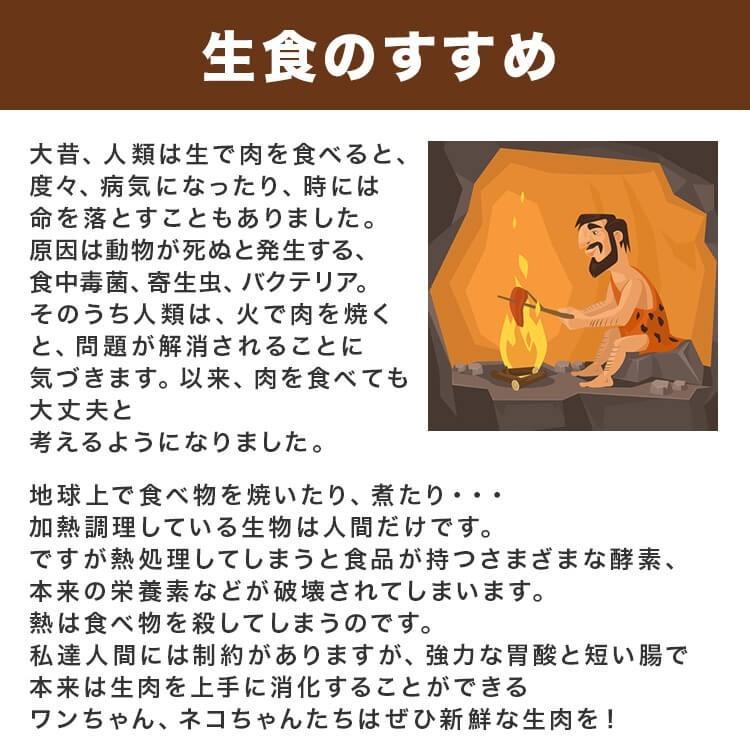犬 猫 馬肉 生肉 同梱包不可 アルゼンチン産/カナダ産 馬肉スライス/カット　10kg（1Kg×10袋）送料無料　_7