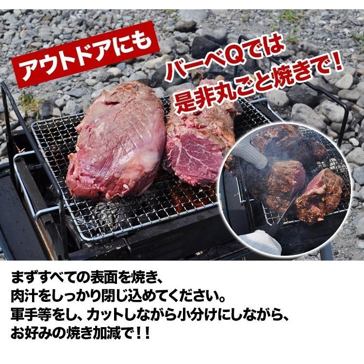 牛ヒレ肉（テンダーロイン）1Kg　冷凍品　ウルグアイ産 【サイドマッスル無し】/牛ヒレステーキ　牛ヒレ肉　｜meat-gen｜09