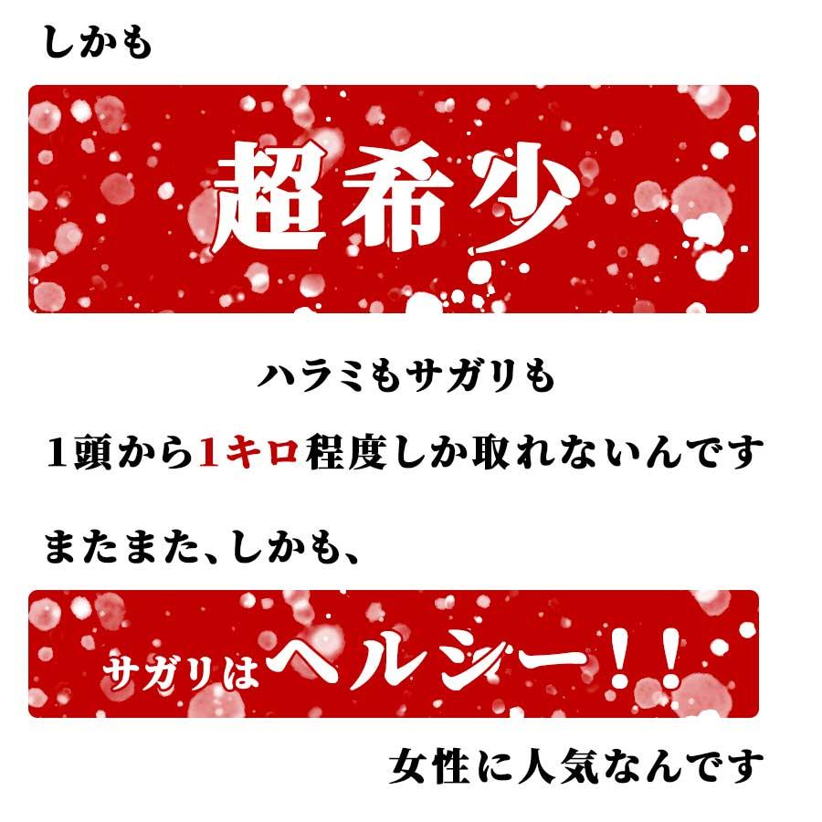 肉 焼肉 牛 ハラミ サガリ 牛ホルモン 200g 250g 冷凍 プライム 父の日 プレゼント ギフト 贈り物｜meat-miyazaki｜11