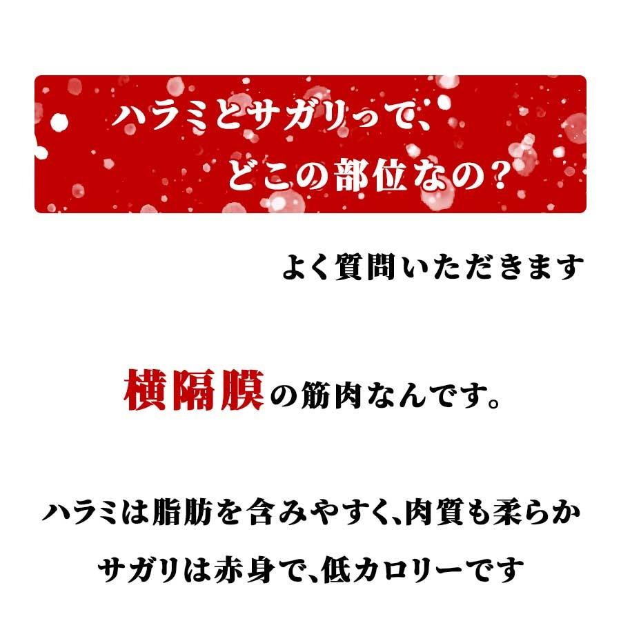 牛肉 お歳暮 22 ギフト 肉 焼肉 牛 ハラミ サガリ 牛ホルモン 0g 250g 冷凍 プライム Usbeef Prime Harami Sagari ミートみやざき 通販 Yahoo ショッピング