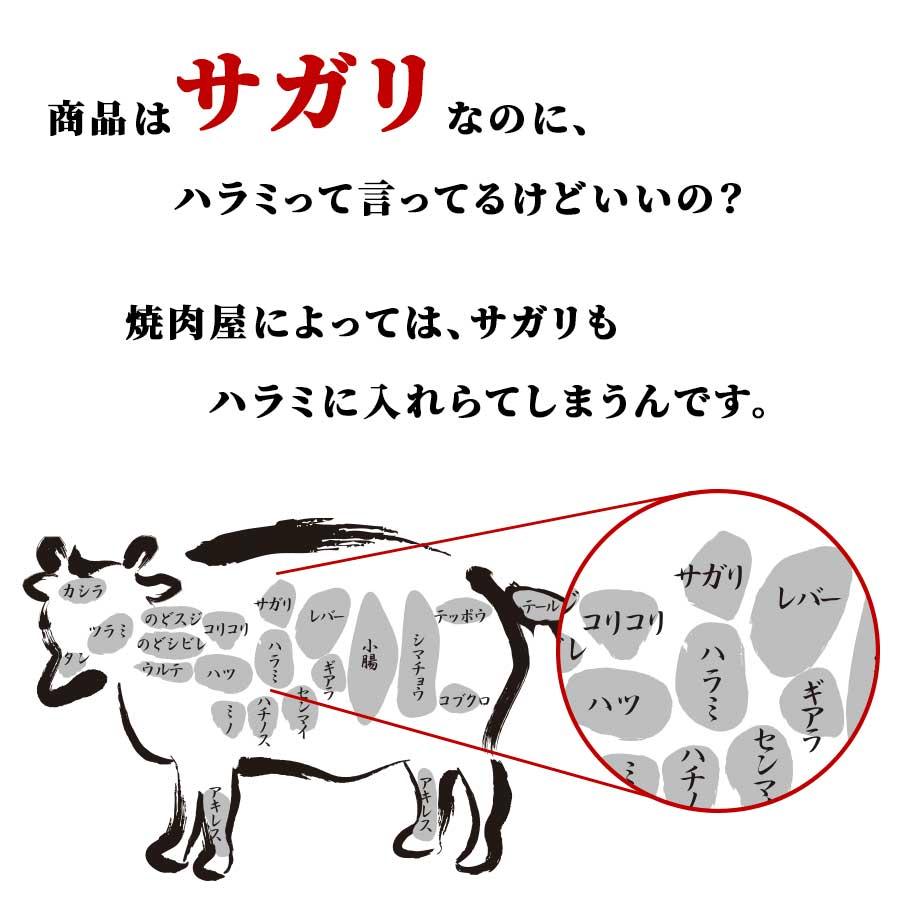 肉 焼肉 牛 サガリ ハラミ 牛ホルモン 500g 250g x 2パック 冷凍 プライム 父の日 プレゼント ギフト 贈り物｜meat-miyazaki｜07