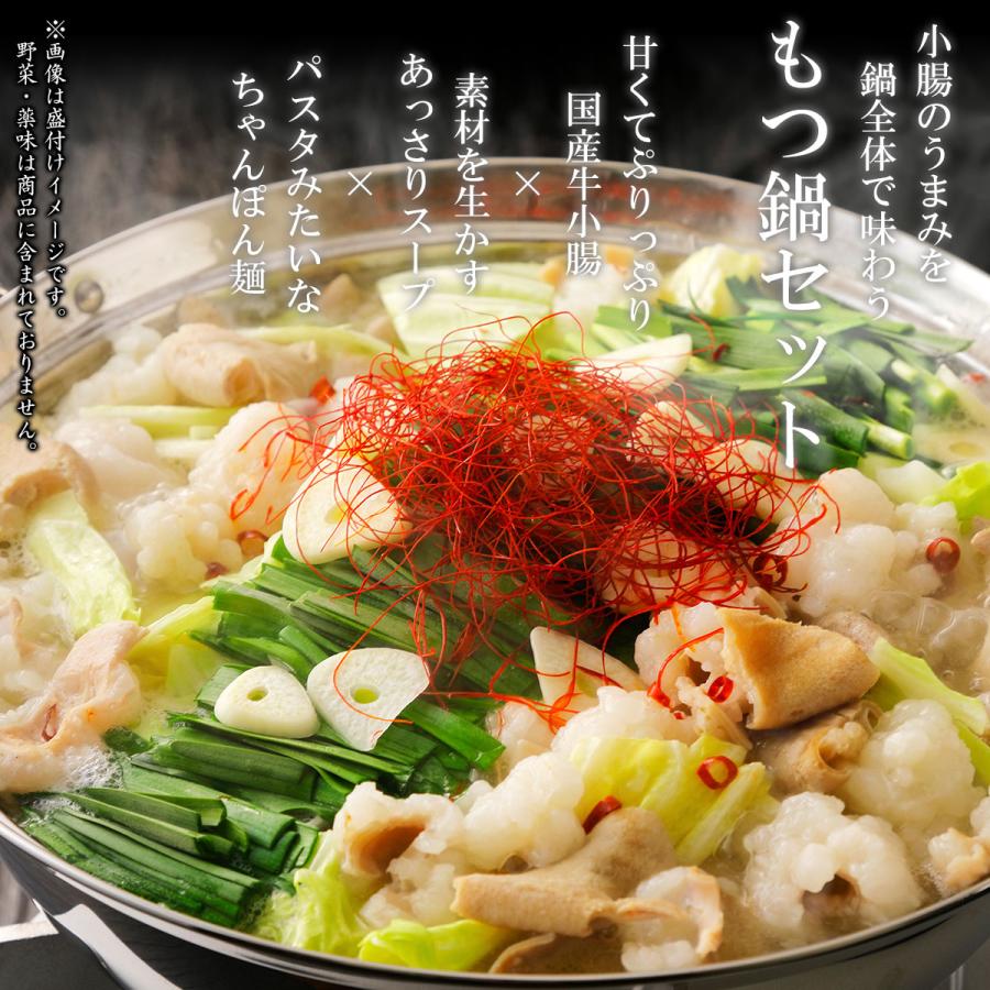 お歳暮 博多もつ鍋 お試し Sセット (国産牛小腸200g) ギフト ホルモン鍋 内祝い お誕生日 化粧箱対応|meat-tamaya|09